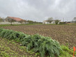 Plot, Near ST-JEAN D'ANGELY in Charente-Maritime