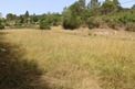 Plot, Near Saint Polycarpe in Aude
