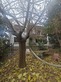 4 Bed. Villa, Near Limoux in Aude