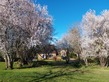 6 Bed. House, Near LE BUISSON DE CADOUIN in Dordogne
