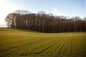 Property, Near GRAULHET in Tarn