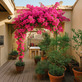 5 Bed. Apartment, Near CARCASSONNE in Aude