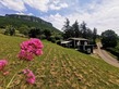 5 Bed. House, Near MILLAU in Aveyron