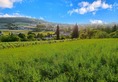 Plot, Near ALBI in Tarn