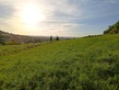 Plot, Near ALBI in Tarn
