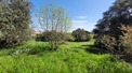 Property, Near Beziers in Hérault