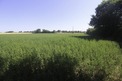 Plot, Near NACHAMPS in Charente-Maritime