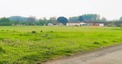 Plot, Near GERMIGNAC in Charente-Maritime