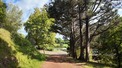 6 Bed. Watermill, Near DAX in Landes