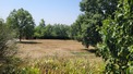 6 Bed. House, Near TREJOULS in Tarn-et-Garonne