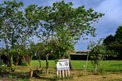 Plot, Near PORT DE LANNE in Landes