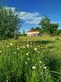 5 Bed. House, Near BUSSIERE-POITEVINE in Haute-Vienne