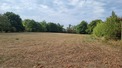 Plot, Near SAINT-MARTIN-LE-PIN in Dordogne