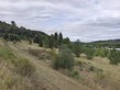 Plot, Near Limoux in Aude