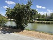 4 Bed. House, Near Marans in Charente-Maritime