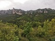 Plot, Near PEYRELEAU in Aveyron