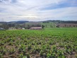 Plot, Near PUYCASQUIER in Gers