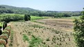 Plot, Near SAINT MARTIN DE VILLEREGLAN in Aude