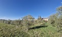 10 Bed. Farm, Near CORDES SUR CIEL in Tarn