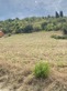 Plot, Near Limoux in Aude