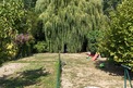 10 Bed. House, Near SAINT JEAN D'ANGELY in Charente-Maritime