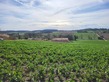 Plot, Near PUYCASQUIER in Gers