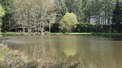 Plot, Near CHAMPS-ROMAIN in Dordogne