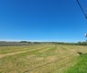 Plot, Near BOURG CHARENTE in Charente