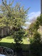 9 Bed. House, Near COGNAC in Charente
