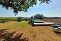 4 Bed. Property, Near Saint-Fort-sur-Gironde in Charente-Maritime