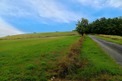 Plot, Near LA SAUZIERE SAINT JEAN in Tarn