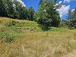 Plot, Near BELCASTEL in Aveyron
