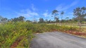 Plot, Near MOLIETS ET MAA in Landes