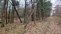 Plot, Near VARAIGNES in Dordogne