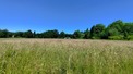 6 Bed. Watermill, Near DAX in Landes