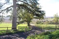 3 Bed. Property, Near Saint-Vincent-de-Lamontjoie in Lot-et-Garonne