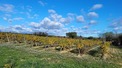 Property, Near Beziers in H&eacute;rault