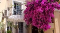 2 Bed. House, Near Beziers in H&eacute;rault
