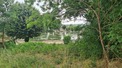 Plot, Near MAGNAC SUR TOUVRE in Charente
