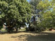 Plot, Near SAINT YRIEIX SUR CHARENTE in Charente
