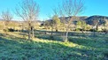 Property, Near Beziers in H&eacute;rault