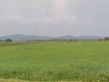 Property, Near Beziers in H&eacute;rault