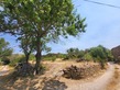 Property, Near Bize-Minervois in Aude