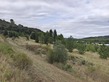Plot, Near Limoux in Aude