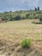 Plot, Near Limoux in Aude