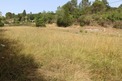 Plot, Near Saint Polycarpe in Aude