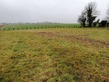Plot, Near Saint-Hilaire-du-Harcou&euml;t in Manche