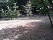 Plot, In HALEINE in Orne